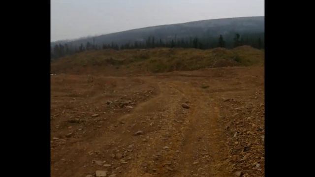 Чипирование оленей. Золотодобытчики. смотреть онлайн