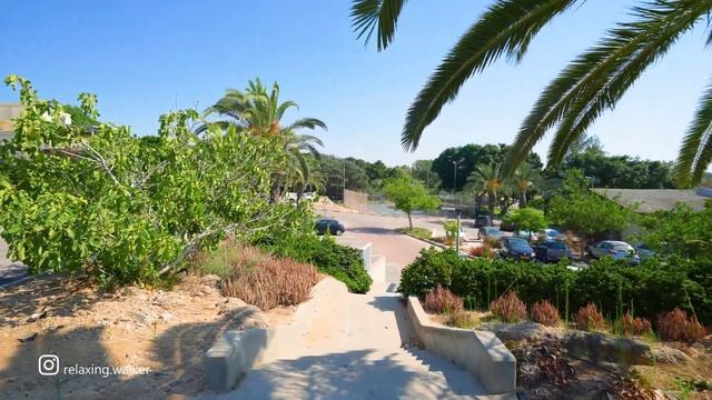 The Most Beautiful Kibbutz on The Mediterranean Coast in The Center of Israel. PALMACHIM смотреть онлайн