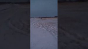 Самодельный снегоход с двигателем ваз2109