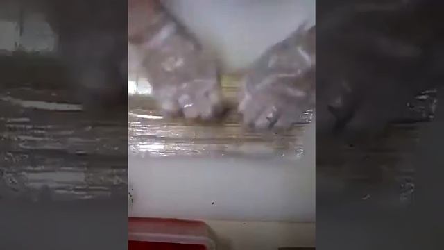 Как сделать Ролл Калифорния с лососем. Приготовление ролла, рецепт смотреть онлайн