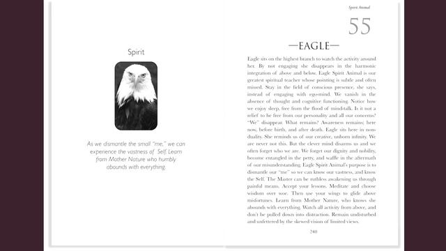 Unboxing the Spirit Animal Oracle Deck смотреть онлайн