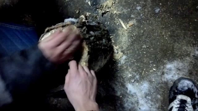 рубим дрова карсаром 8 смотреть онлайн