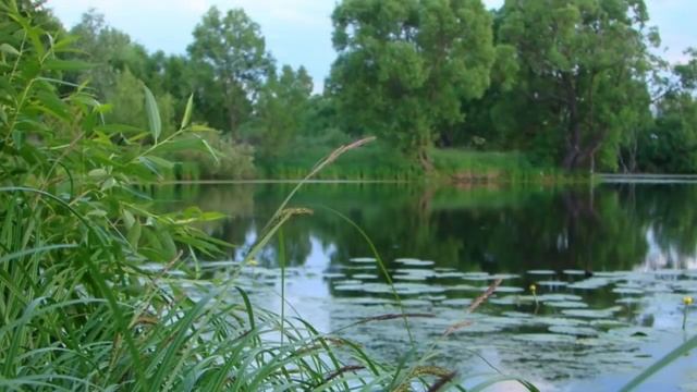 Нам остались только осколки. Идет время всемирной катастрофы. Преподобный Варсонофий Оптинский. смотреть онлайн