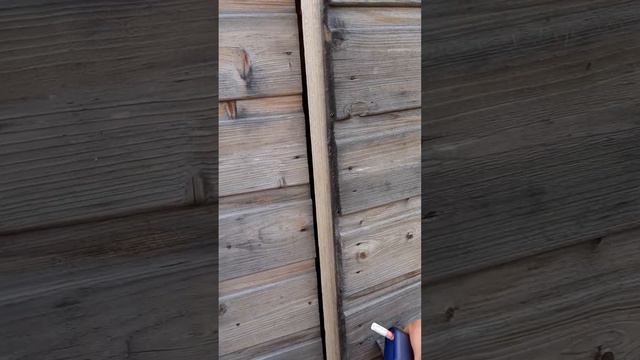 14 декабря 2023 г. смотреть онлайн