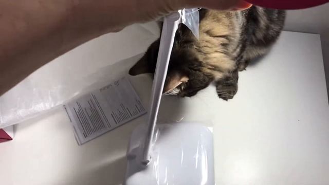 Светодиодный настольный светильник ARTSTYLE. Стильная лампа. смотреть онлайн