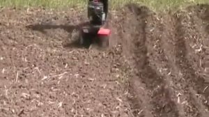 Посадка картофеля с помощью культиватора