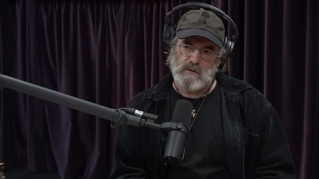 The Benefits of Micro-dosing Mushrooms w/Paul Stamets | Joe Rogan смотреть онлайн