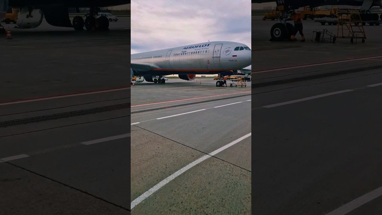 Не смотря ни на что... #жизньвовремяпутешествий #песковыпутешествуют #travel #питер2024 смотреть онлайн