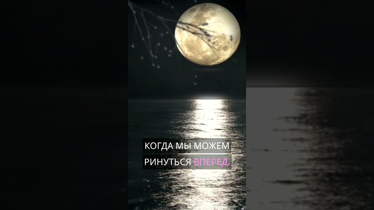 Влияние луны на нас #shorts смотреть онлайн