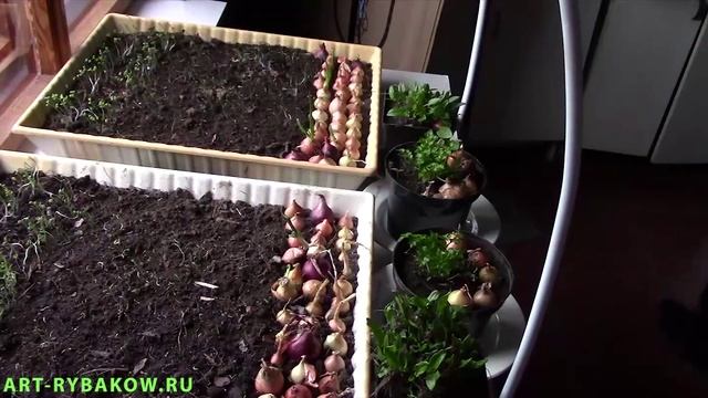 ДомоМастер