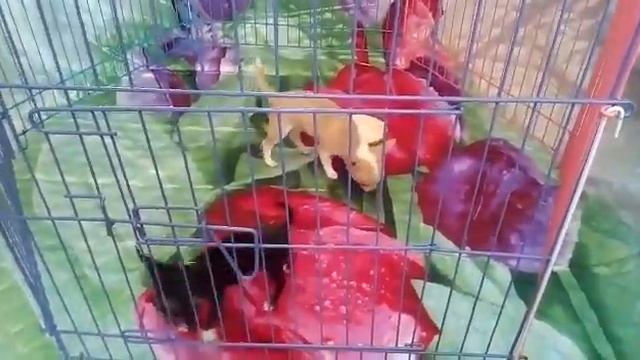 14 36 07 смотреть онлайн