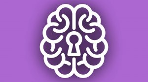 Орган зрения (Анатомия)