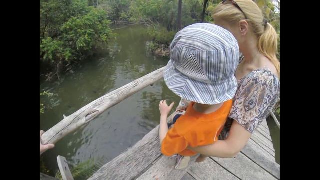 In The Way.. Tailand - Giant Catfish Farm (Ao Nang, Krabi)