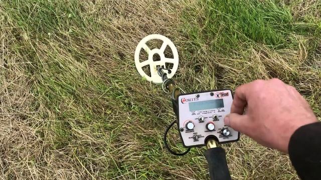 Tesoro Cortes Metal Detector Long Term Test ??