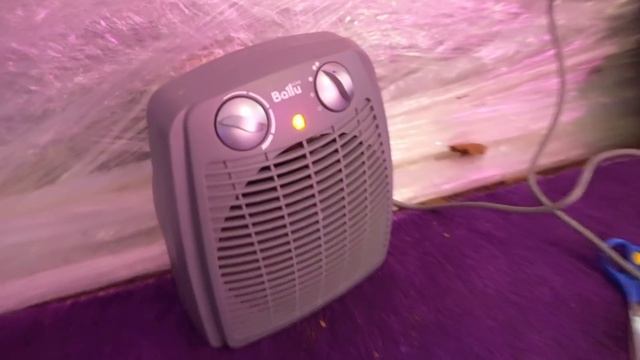 МОЙ ВЕЧЕР В ДОМЕ ИЗ ПЛЕНКИ НА ДЕРЕВЕ ? | Elli Di смотреть онлайн