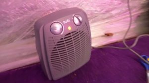 МОЙ ВЕЧЕР В ДОМЕ ИЗ ПЛЕНКИ НА ДЕРЕВЕ ? | Elli Di