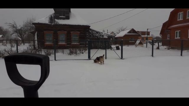 1 декабря встречаем зиму. смотреть онлайн