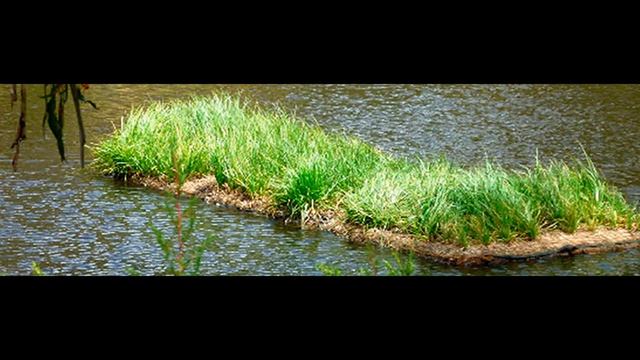 ПЛАВАЮЩИЕ БИОФИЛЬТРЫ TM "OLEX" для очистки воды в Водоёмах, Бассейнах, в Рыбоводных Хозяйствах... смотреть онлайн