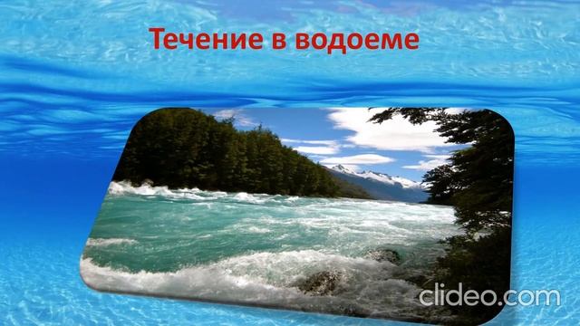 Правила поведения на воде смотреть онлайн
