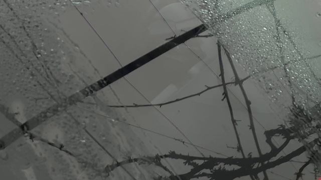 Водосгон автомобильный для стекол и зеркал, AVS, SB-0505 M, силиконовый, универсальный, 24,5 см смотреть онлайн