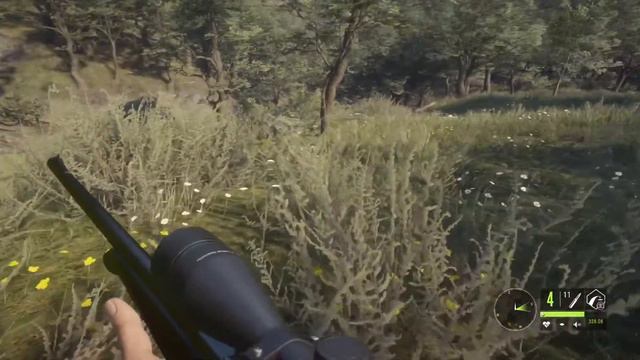 theHunter COTW: Revenge on the Puma смотреть онлайн
