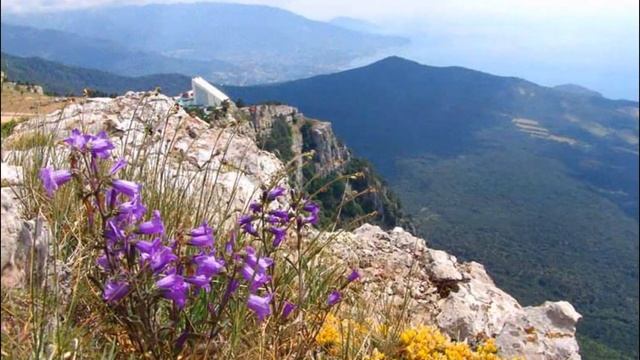 Прекрасные мгновения весны смотреть онлайн