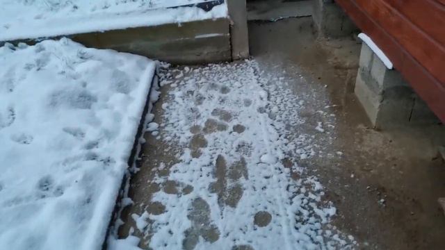 Горное Лоо. Нас завалило снегом. -2°C. 23.12.2021г. (7529г.) © смотреть онлайн