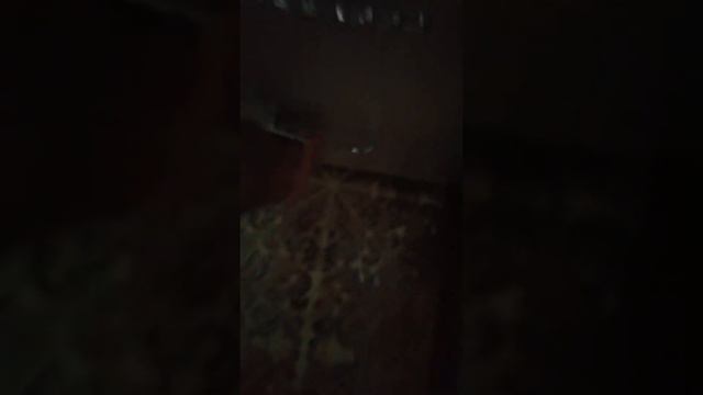 Как выглядит моя комната смотреть онлайн