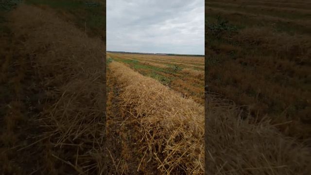 Нива Эффект ещё в деле смотреть онлайн