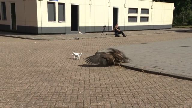 Орел против Дрона смотреть онлайн