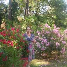 #Shorts  #Цветы #Выставка