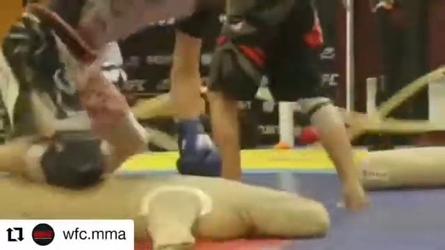Алан Рашидов победитель первенства России по СБЕ ММА смотреть онлайн