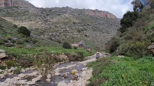 Израиль.Заповедник.Нахаль Дишон. Найди бурундука. смотреть онлайн
