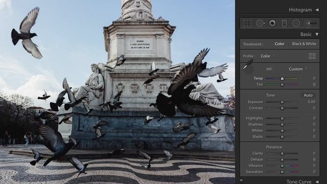 Make Selective Edits in Lightroom Classic CC смотреть онлайн