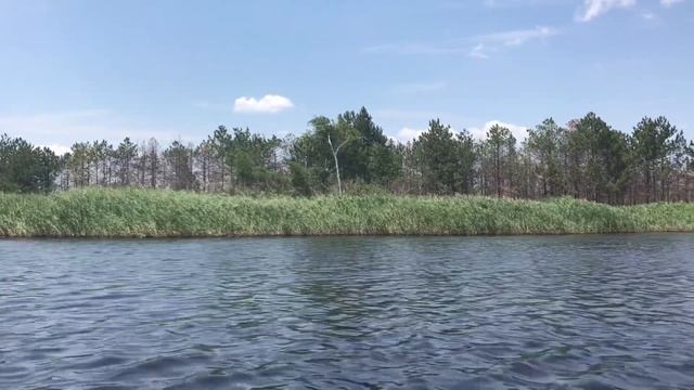 Просыпаемся, улыбаемся, любим! Наслаждаемся каждым днём!♥️? смотреть онлайн