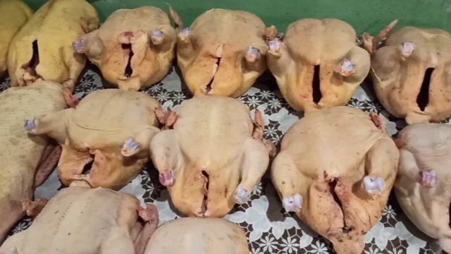 Мускусные утки тяжёлой линии!!! смотреть онлайн