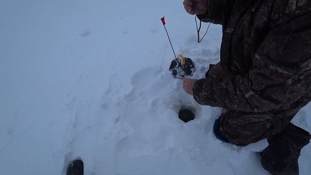 Трофейная рыбалка. Щуки сошли с ума. Мы не ожидали такого бешенного клева. смотреть онлайн