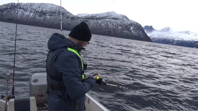 Рыбалка в Норвегии. Мы снова в лодке. Мольва сайда и маленький палтус. Рыбалка. Норвегия. смотреть онлайн