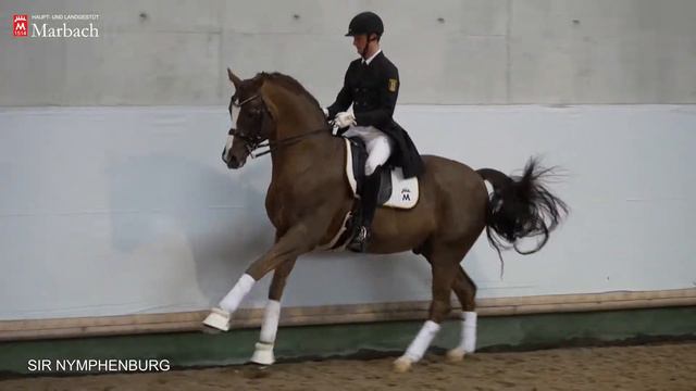 SIR NYMPHENBURG I *2005 v. Sir Donnerhall I - Regazzoni смотреть онлайн