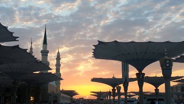 Восход солнца в Мечети Пророка Мухаммада صلى الله عليه وسلم смотреть онлайн