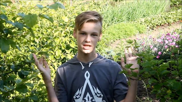 Саморазвитие | Как поставить перед собой цель | ArtMaks