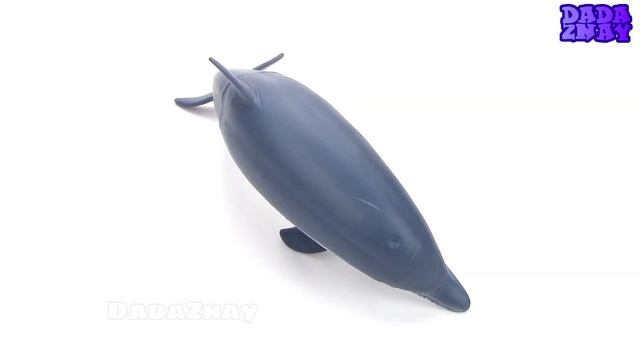 Животные для детей|Как говорят животные|Учим морских животных|Имена морских животных смотреть онлайн