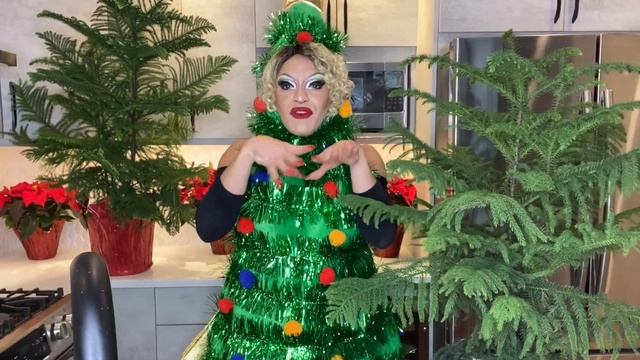 Missleidy's Holiday Season Especial: PART 4 NORFOLK ISLAND PINE (Araucaria Heterophylla) смотреть онлайн