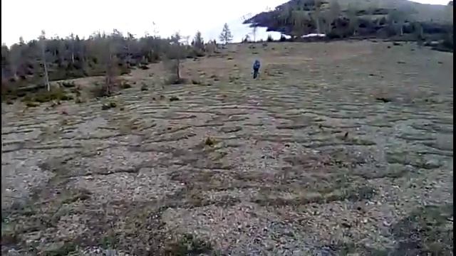 Чарышский район 2017 смотреть онлайн