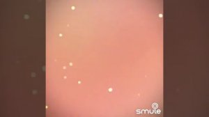 Пепита Дьябло. #караоке