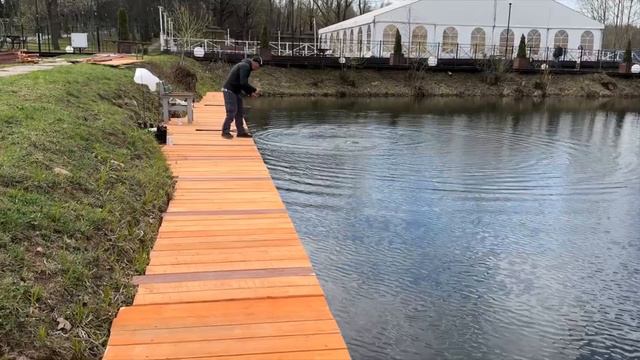 Поймал-отпусти в действии. Лютая форель смотреть онлайн