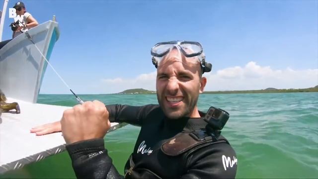 Поймали МОРСКУЮ ЧЕРЕПАХУ Гигантская зеленая морская черепаха Brave Wilderness на русском смотреть онлайн