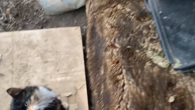 969❤️Дорожает! Надо брать! Меняем интерьер в ванной комнате. смотреть онлайн