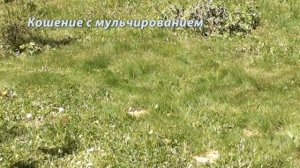 Газонокосилки DDE Серия5 Кошение с мульчированием