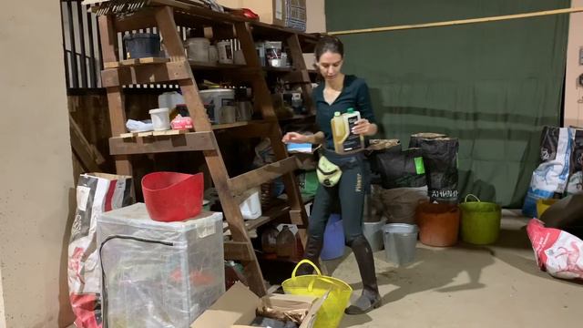 ЦЕНА СОДЕРЖАНИЯ ЛОШАДИ